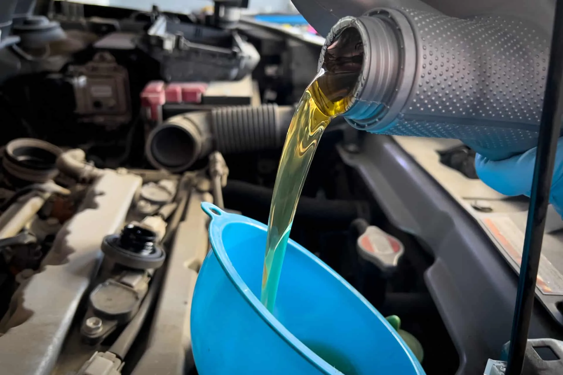 Night Life Performance Routine Maintenance Services