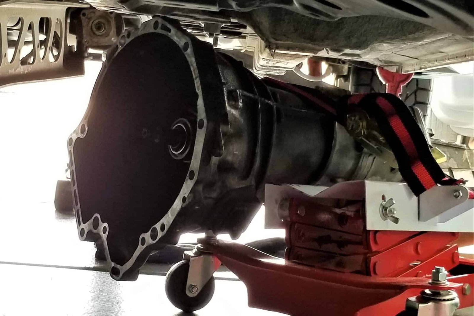 Night Life Performance Transmission Services